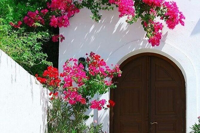 Rhodes, Lindos and Medieval City Guided Tour from Cruise Port - A Deep Dive into the Rhodes, Lindos and Medieval City Tour