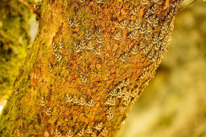 Rhodes & Lindos & Butterfly Valley - Private Half-day Excursion - FAQ