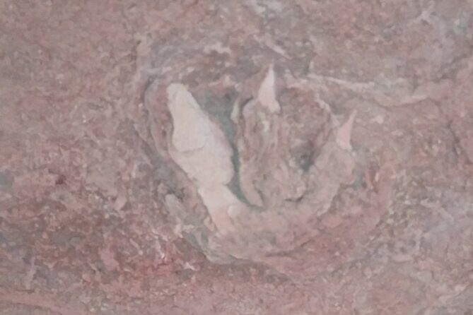 Rhodes Off Road Adventures Guided Jeep Tour from Rock Crawling to Petroglyphs - Practicalities and Considerations