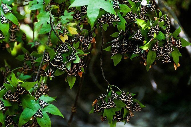 Rhodes Private Tours - Who Should Consider This Tour?