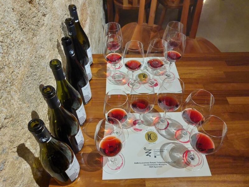 Rhodes: Private Wine Tasting Experience for Beginners - Final Thoughts
