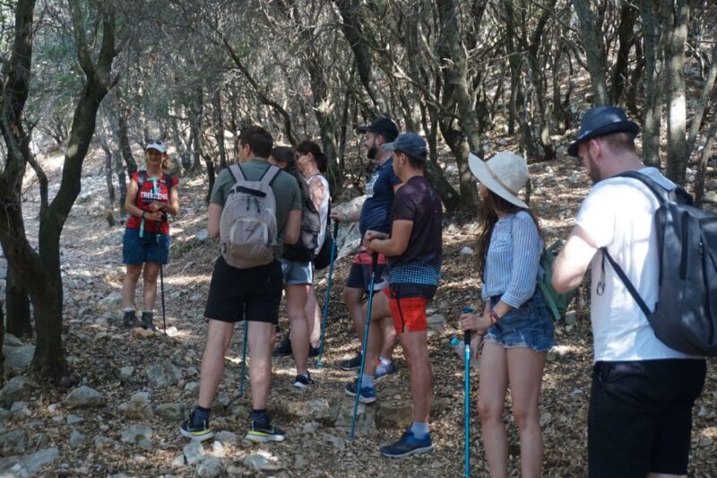 Rhodes: Profitis Ilias Guided Sunset Hike - A Detailed Look at the Experience