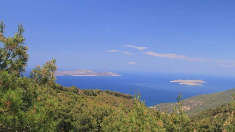 Rhodes: Safari with experienced driver - South pick ups - Pricing & Value