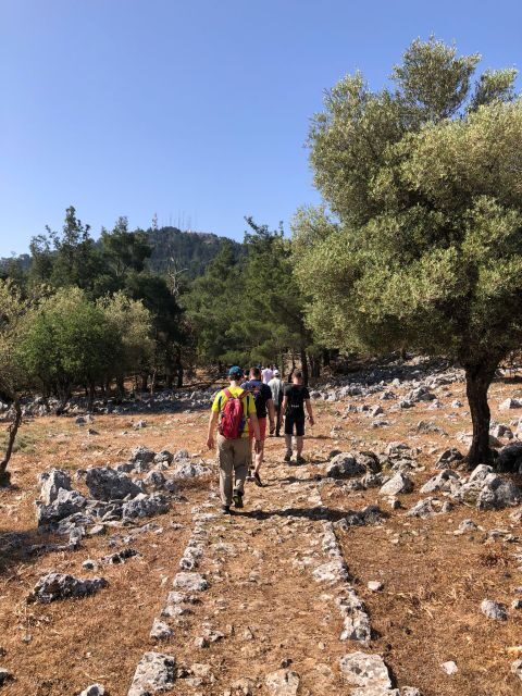 Rhodes: Salakos to Profitis Ilias 4 hours Guided Hike - Who Will Love This Tour?