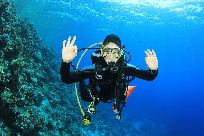 Rhodes Scuba Diving Experience - Who Should Consider This Tour?