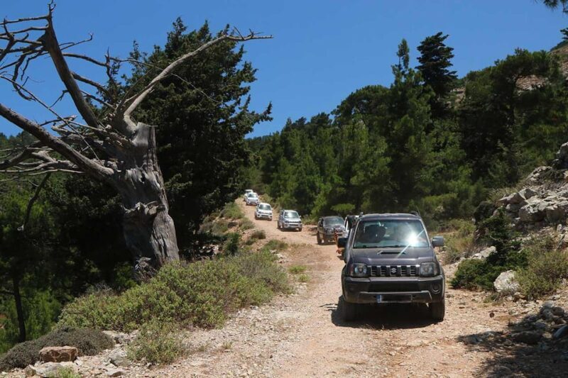Rhodes: Self-Drive 4x4 Safari Tour with North Pickup - Who Is This Tour Best For?