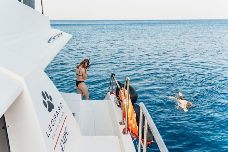 Rhodes: Sunset Catamaran Cruise with Dinner Buffet & Drinks - Final Thoughts