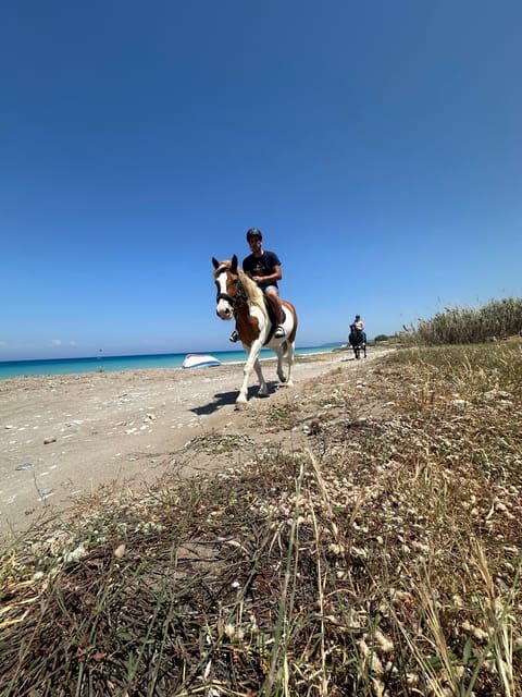 Rhodes: Sunset Horseback Riding Experience by the Sea - Key Points