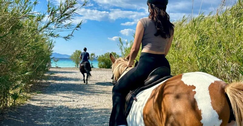 Rhodes: Sunset Horseback Riding Experience by the Sea - Who Should Consider This Tour