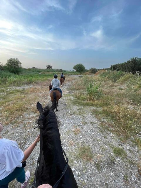 Rhodes: Sunset Horseback Riding Experience by the Sea - Final Thoughts