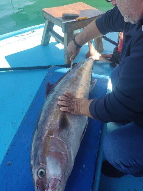 Rhodes Town: Fishing Boat Trip with Fish Meal and Swim Stops - Key Points