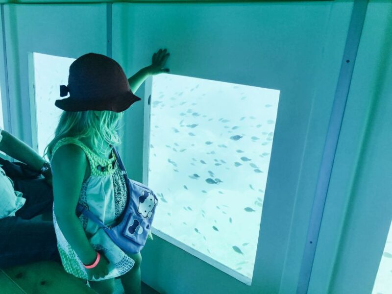 Rhodes Town: Submarine Cruise with Underwater Views - Who Will Love This Tour?