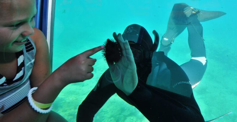 Rhodes Town: Yellow Submarine Cruise with Underwater Views - What to Expect from the Experience