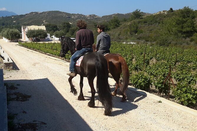 Rhodes Wine & Food Tour: 10 Meal Course Lunch, Wine Tasting, Cooking Class - Why This Tour Is Worth Considering