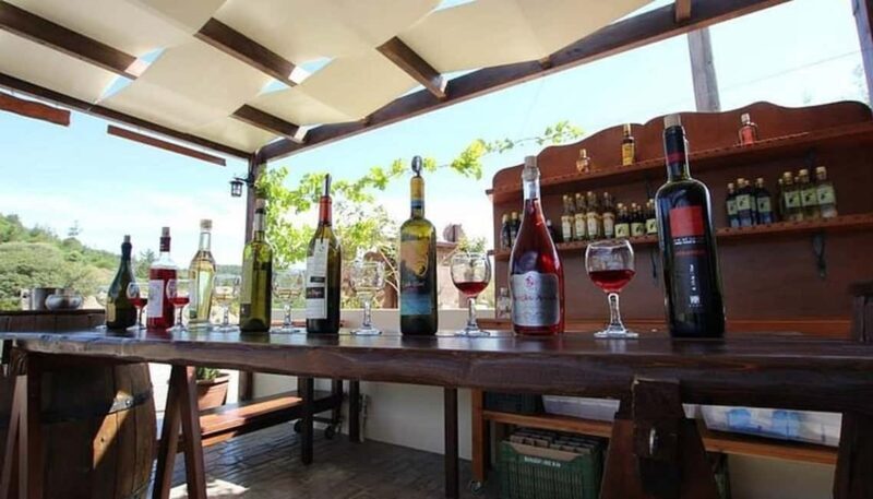 Rhodes: Wine Tasting in Embonas, the Land of Rhodian Wine - Final Thoughts: Who Should Consider This Tour?