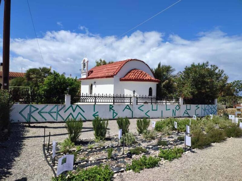 Rhodes:Explore the farm's paths & discover aloe vera & herbs - What Makes This Farm Tour Stand Out