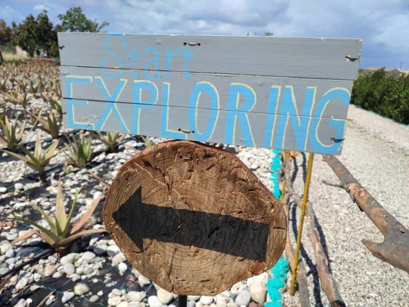 Rhodes:Explore the farm's paths & discover aloe vera & herbs - The Setting and Atmosphere