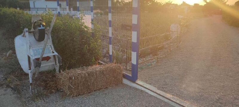 Rhodes:Explore the farm's paths & discover aloe vera & herbs - Who Should Consider This Tour?