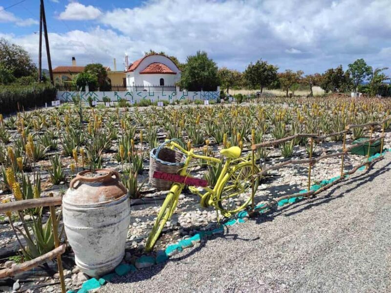 Rhodes:Explore the farm's paths & discover aloe vera & herbs - Final Thoughts