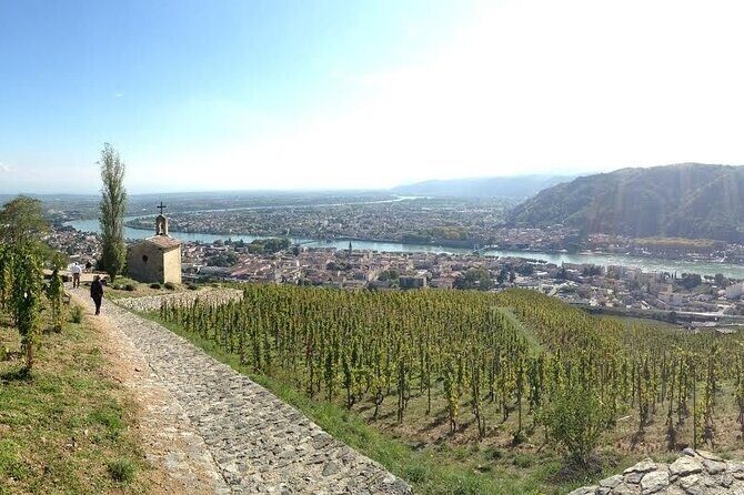 Rhône Valley Wine & Chocolate Tasting Private Day Tour from Lyon - Who Will Appreciate This Tour?