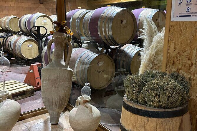 Rhône Valley Wine & Chocolate Tasting Private Day Tour from Lyon - The Sum Up