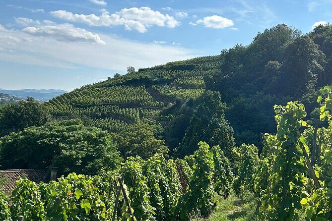 Rhône Valley Wine & Chocolate Tasting Private Day Tour from Lyon - FAQ