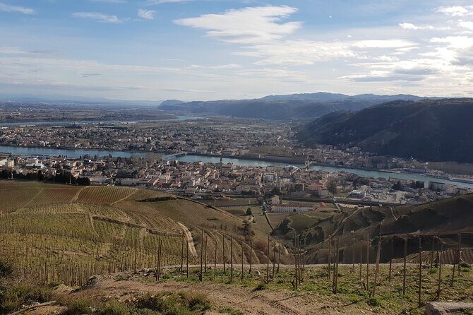 Rhône Valley Wine Tasting Private Day Tour from Lyon - In-Depth Look at the Rhône Valley Private Tour