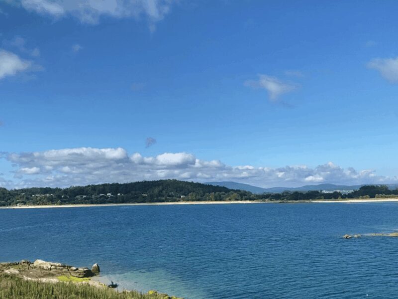 Ría de Arousa: Daytime or Sunset Sailboat Cruise with drinks - Experience Galicia from the Water