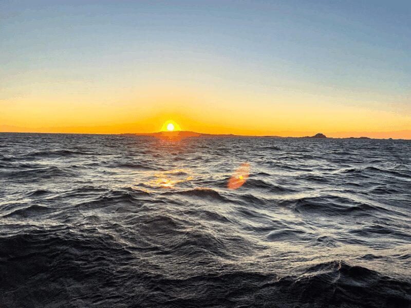 Ría de Arousa: Daytime or Sunset Sailboat Cruise with drinks - Pricing and Value