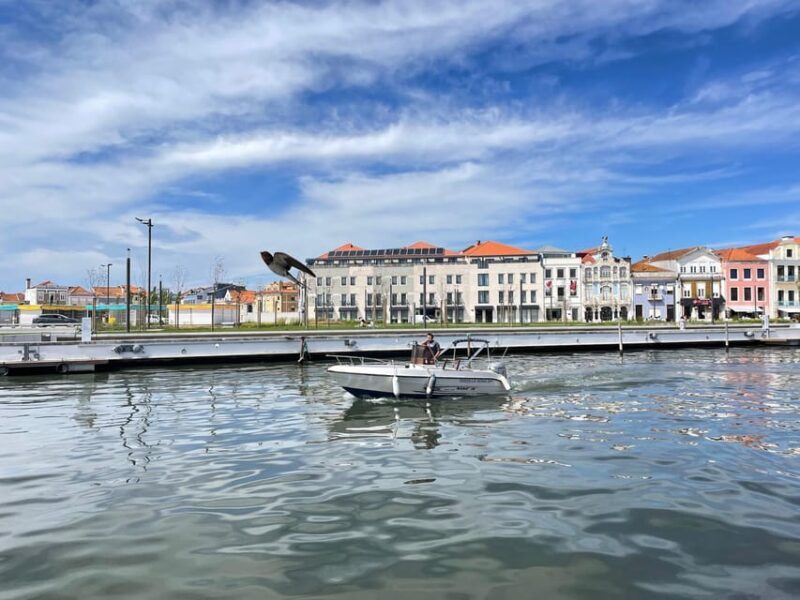Ria de Aveiro Wakeboard Experience - Key Points