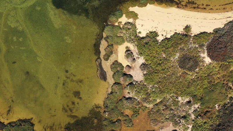 Ria Formosa: Armona and Culatra Islands 3-Hour Boat Tour - Key Points