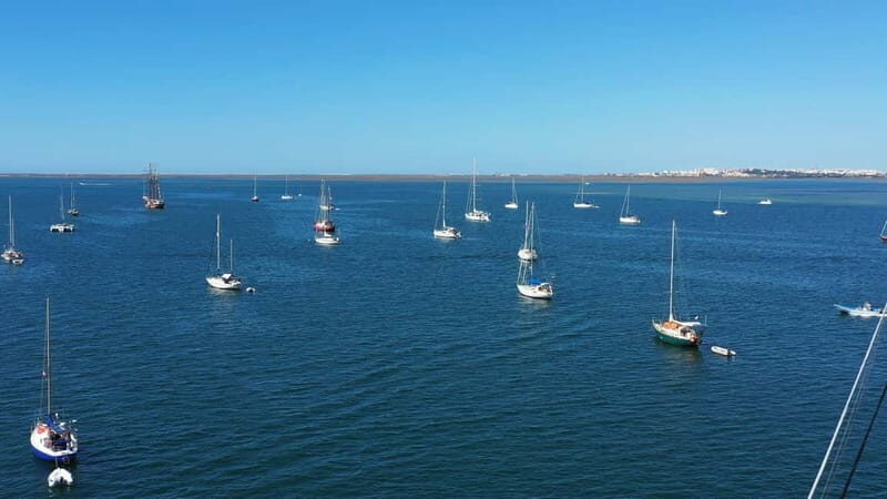 Ria Formosa: Armona and Culatra Islands 3-Hour Boat Tour - Practical Details