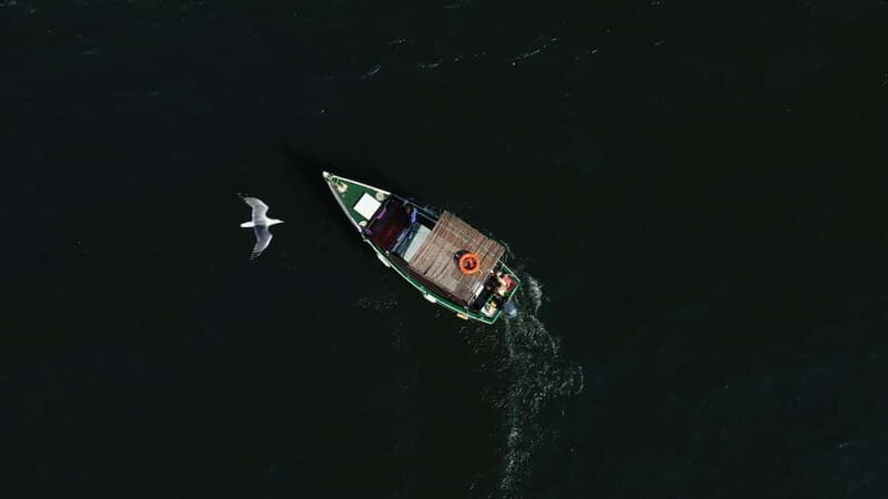 Ria Formosa: Armona and Culatra Islands 3-Hour Boat Tour - What Travelers Say