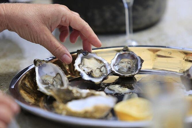 Ria Formosa - Boat trip to the 3 Islands: Armona | Culatra Island | Lighthouse - Final Thoughts