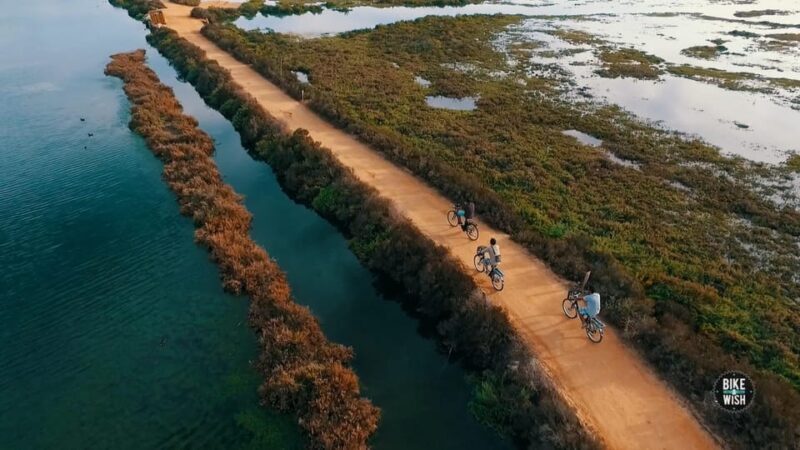 Ria Formosa: Guided Bike Tour (3h), Início na Quinta do Lago - The Sum Up