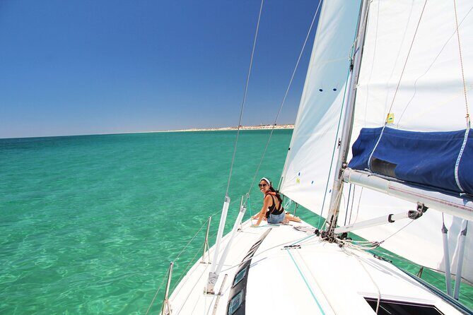 Ria Formosa Half Day Sailing Tour - Key Points