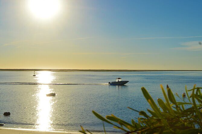Ria Formosa & Ilhas: Sunset Boat Trip - Practical Details to Keep in Mind