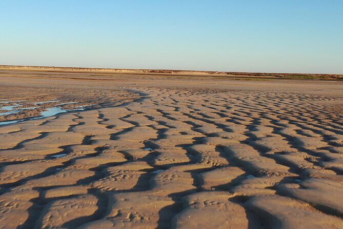 Ria Formosa & Islands : 2h00 Private Tour of Ria Formosa - FAQs