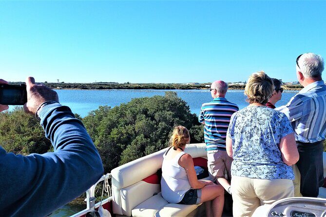 Ria Formosa Natural Park and Islands Boat Cruise from Faro - Honest Considerations and Limitations