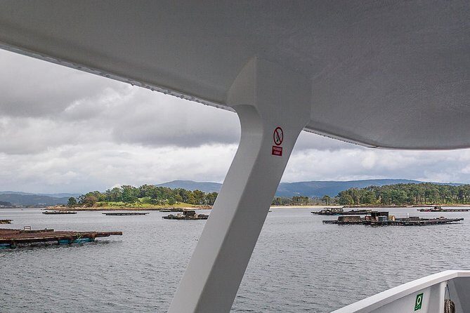 Rías Baixas Private Tour with Wine Tasing, Food, Mussels Boat and Pickup - Who Will Love This Tour?