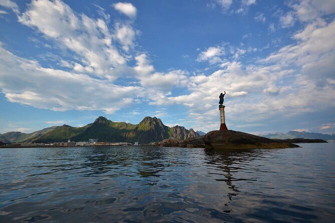 RIB Sea Eagle Safari Trollfjord Cruise - Final Thoughts