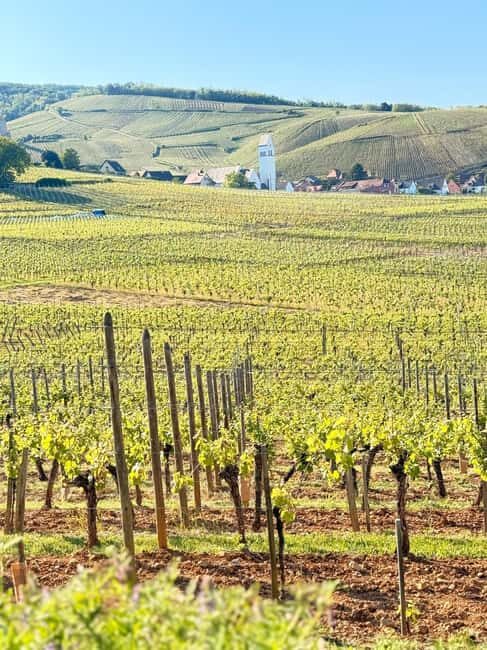 Ribeauvillé: Music, Castles, and Legends - FAQ