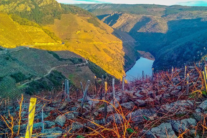 Ribeira Sacra, "Heroic Wines" Private Tour from Santiago - The Itinerary: What to Expect
