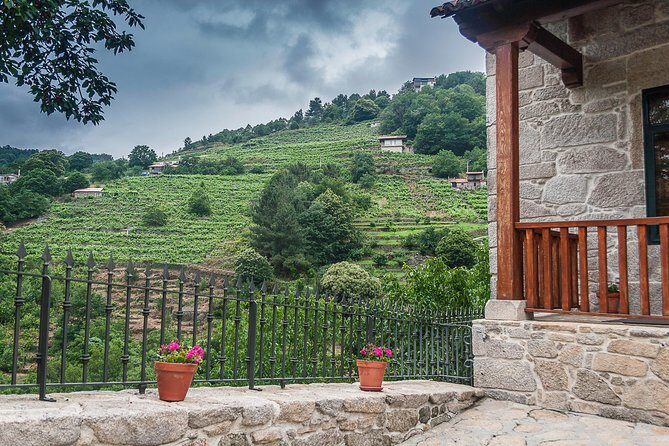 Ribeira Sacra, "Heroic Wines" Private Tour from Santiago - How the Experience Feels