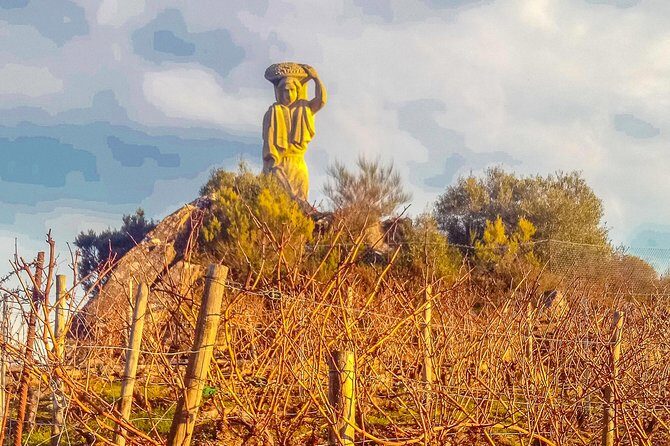 Ribeira Sacra, "Heroic Wines" Private Tour from Santiago - Who Will Love This Tour?