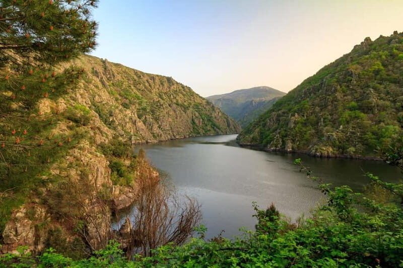 Ribeira Sacra & Ourense Day Tour with Catarmaran Cruise - What to Expect from the Ribeira Sacra & Ourense Tour