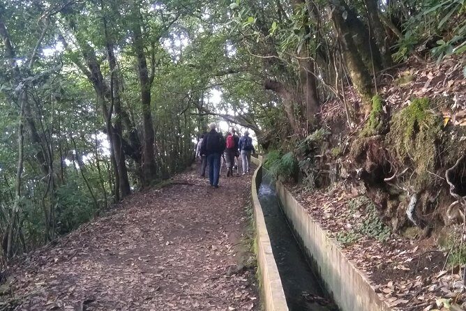 Ribeiro Frio - Portela - FAQs