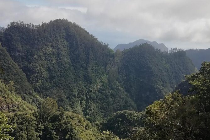 Ribeiro Frio - Portela - Final Thoughts