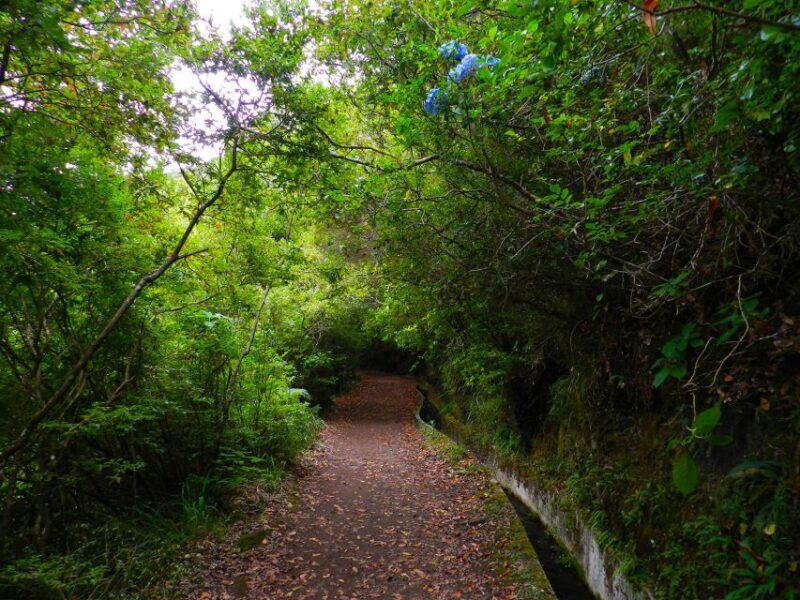 Ribeiro Frio / Portela - Levada Walk - FAQs