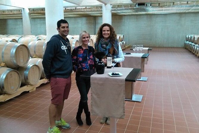 Ribera del Duero Small Group Tour: Tapas & Wine Tasting - Who Is This Tour For?